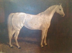 warhorse