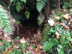 mertherunywell